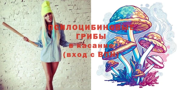 синтетический гашиш Приозерск
