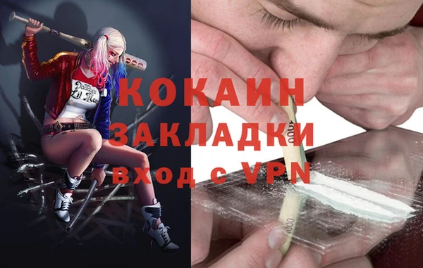 СК Протвино