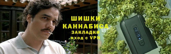 СК Протвино