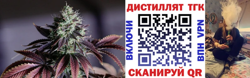 цена наркотик  Новомичуринск  MEGA зеркало  Дистиллят ТГК Wax 